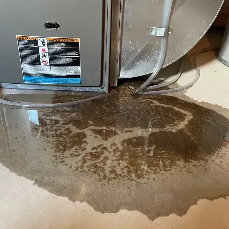 Appliance Leak Cleanup in Merrick County, NE